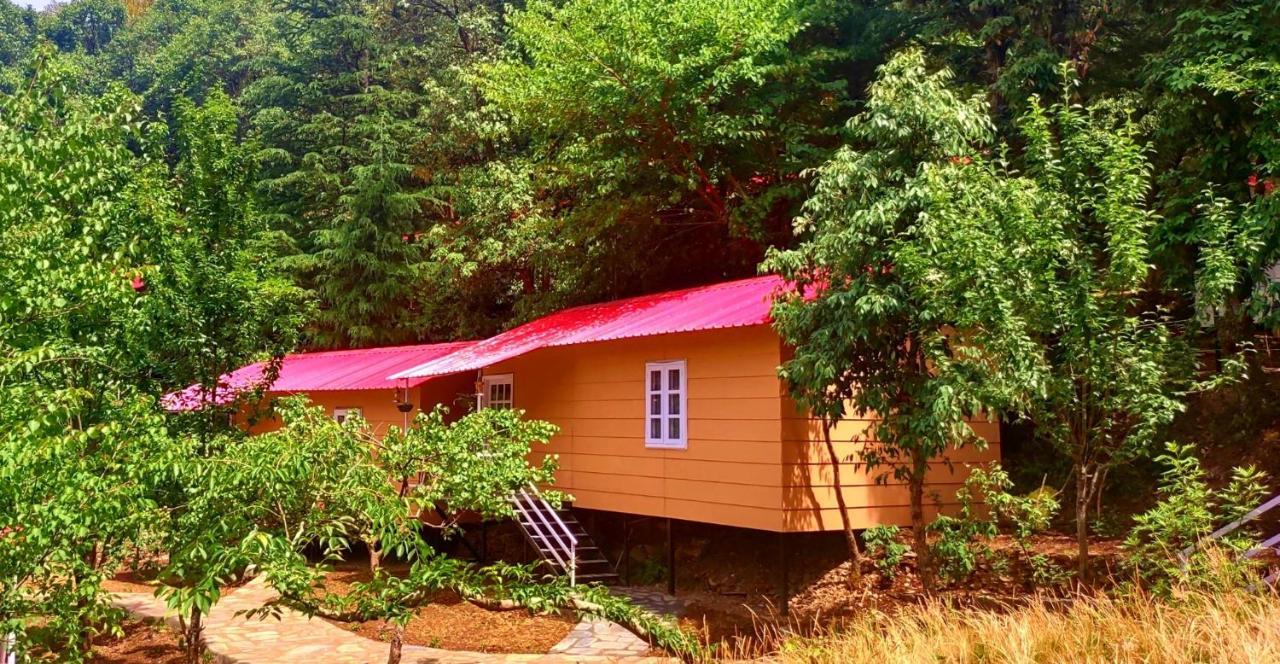 Aaroham Resort, Shimla Exterior photo